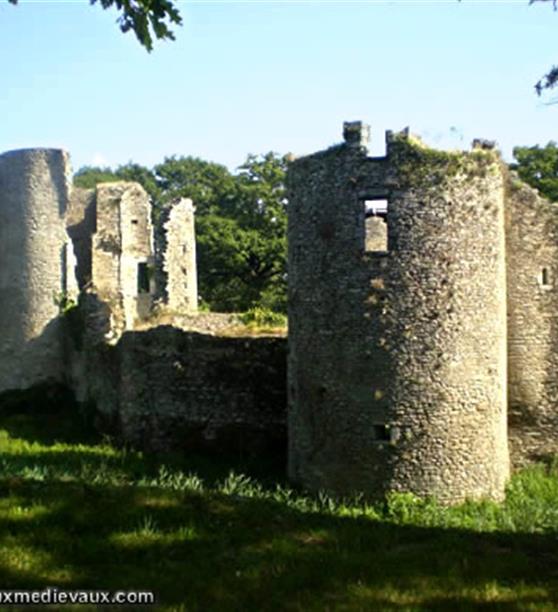 Chateau de Ranrouet camping-embrunssud morbihan